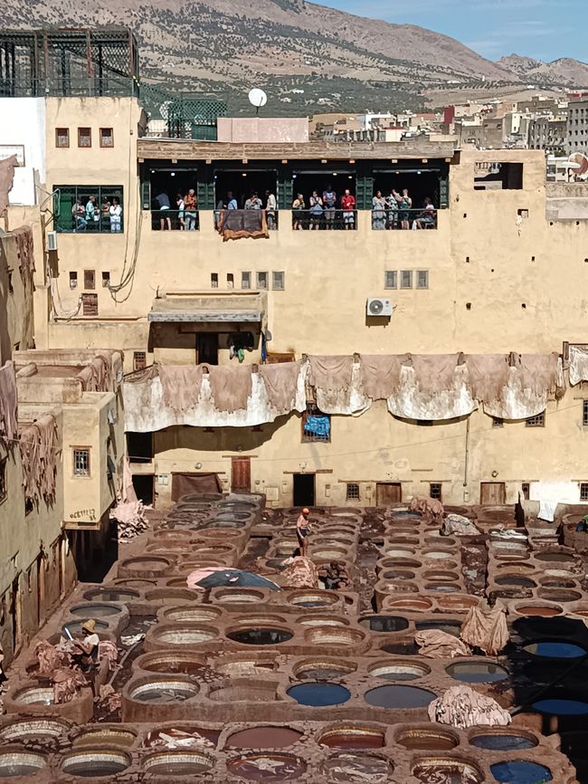 Verloren in der Medina