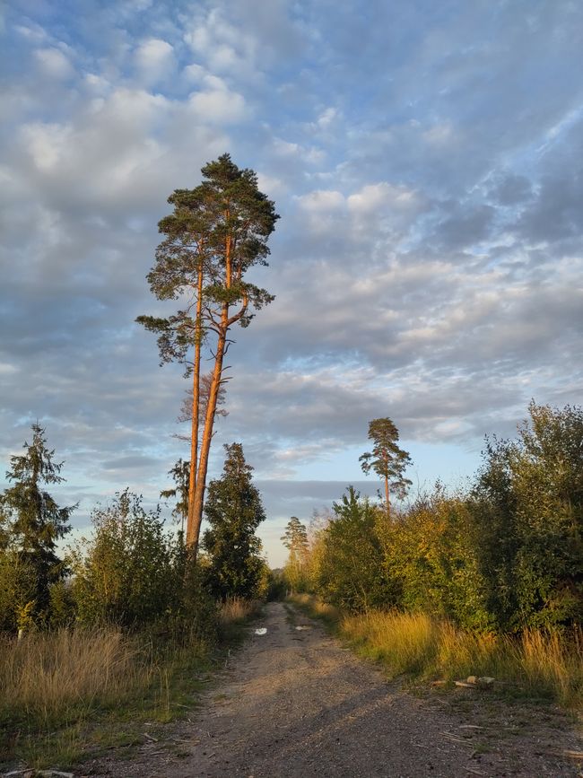 Frankenwald