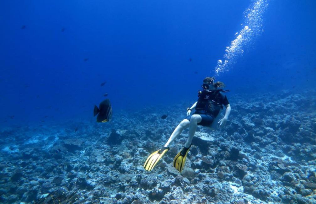 10 Días en Thundufushi - Un Viaje a Través de Aguas Azules, Jardines de Coral y Momentos de Quietud