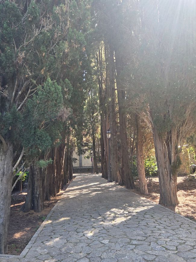 Valldemossa – Ein Juwel in den Bergen Mallorcas