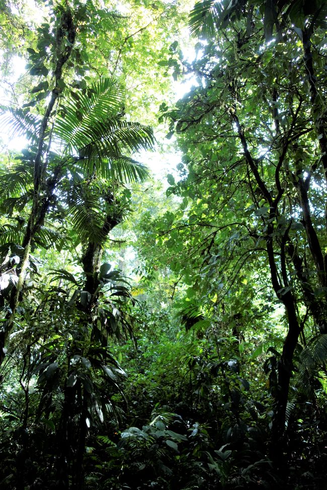 Die Entdeckung der Langsamkeit