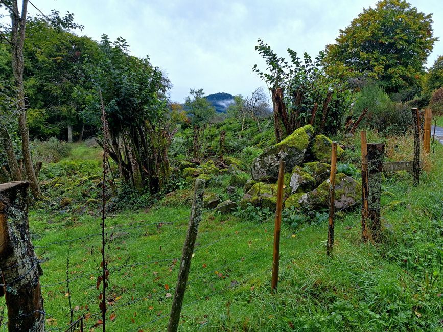 Im Moor Tourbière du Couty