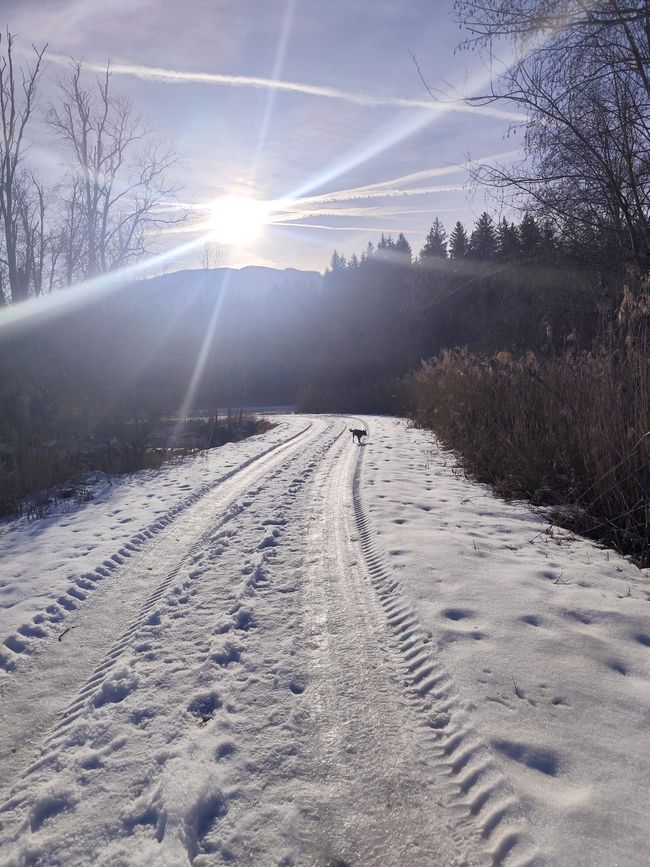 Murnau Moor y Murnau - ¡maravilloso para correr, observar y disfrutar! ¡Libre camino para mí para correr libremente!!! ¡A muy agradables 10 grados PLUS!!