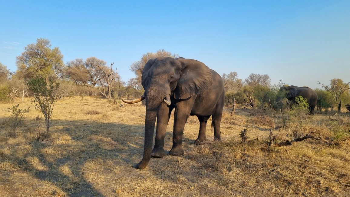 Simbabwe / Botswana 2024