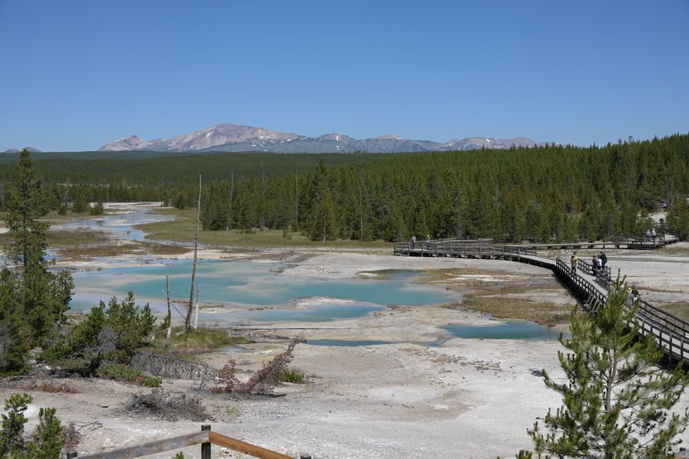 Norris Geyser Basin