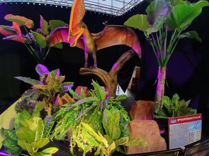 Dino Fever in Friedrichshafen: An Honest Look into the "Kingdom of Dinosaurs"