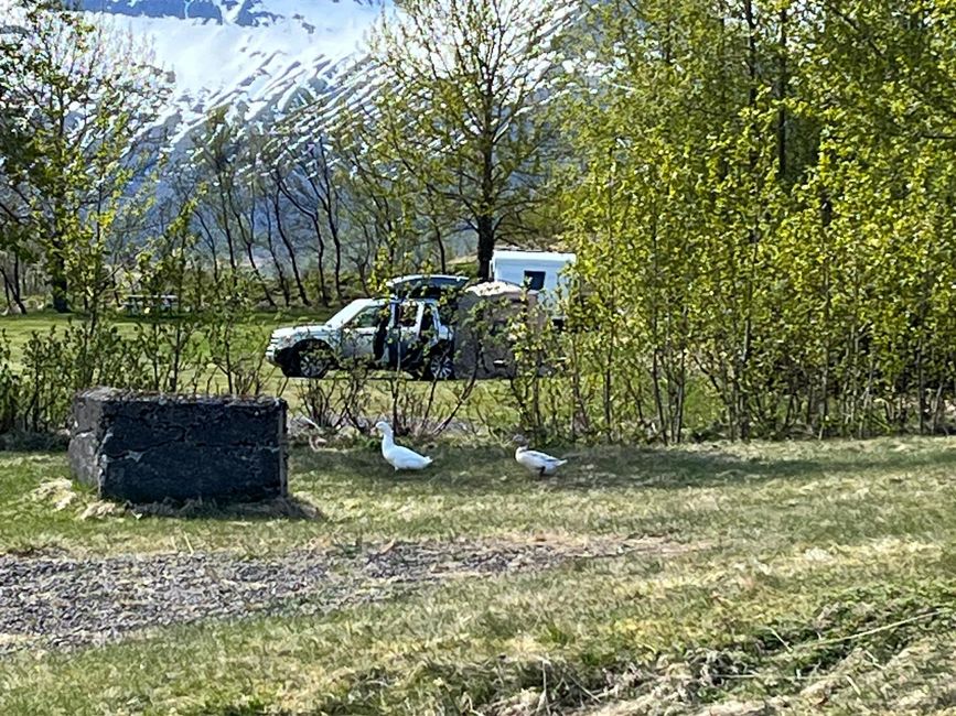 Ankunft in Island