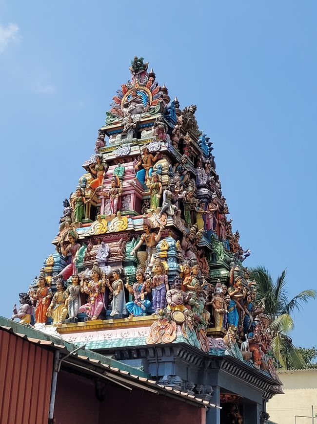 Tag 124 und 125 von 175: Kreuzfahrt rund um die Welt - Colombo/Sri Lanka und Seetag