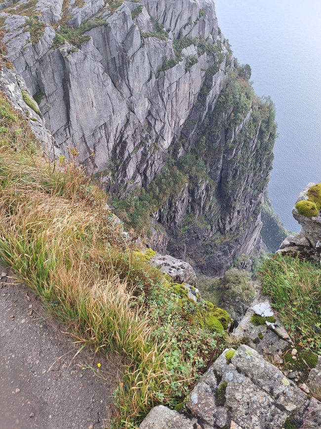 Tag 5 Preikestolen