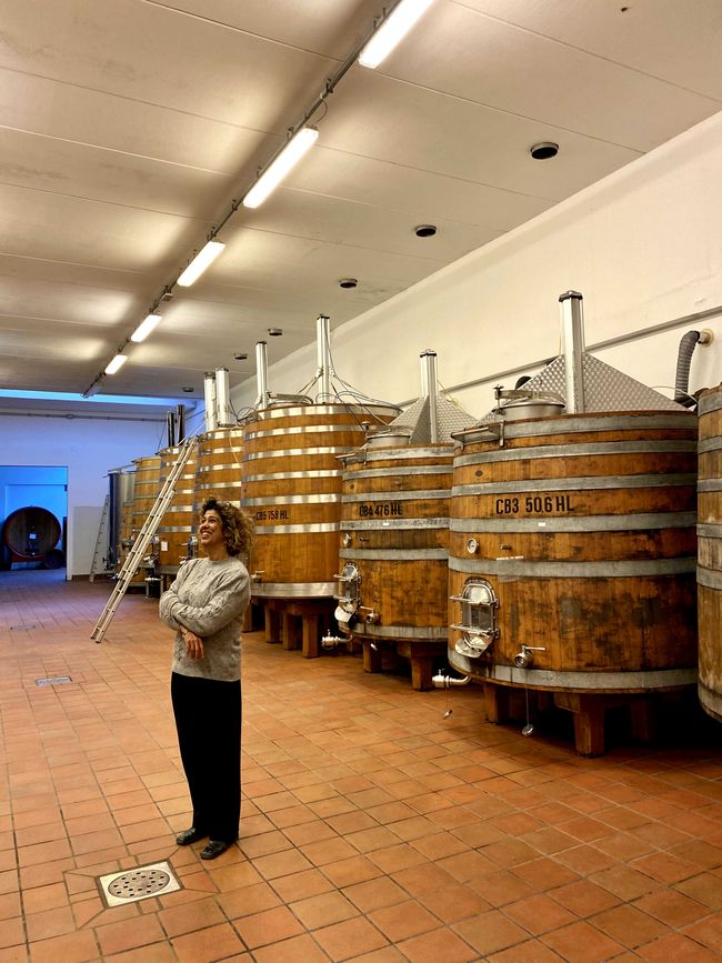 Tuscany Tour - Stop 3: Wine Tasting in Montalcino