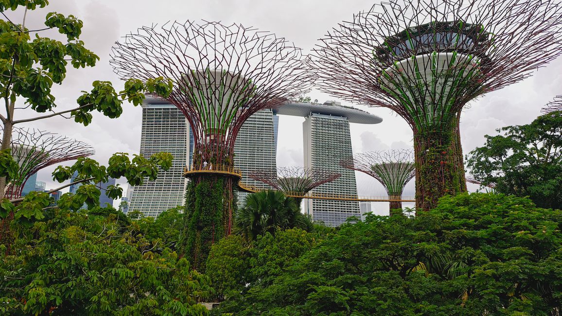 Gardens by the Bay