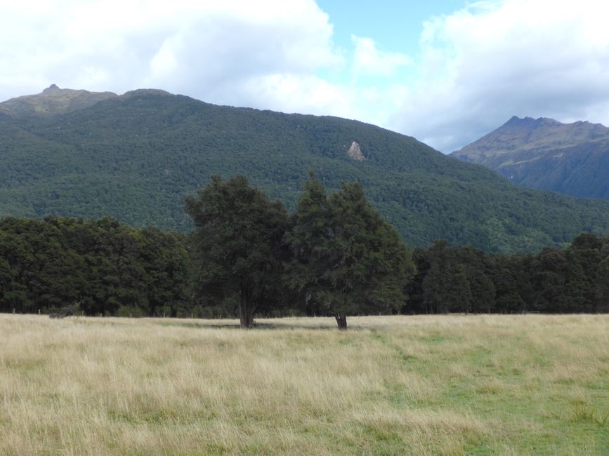 Unterhalb des Hauses