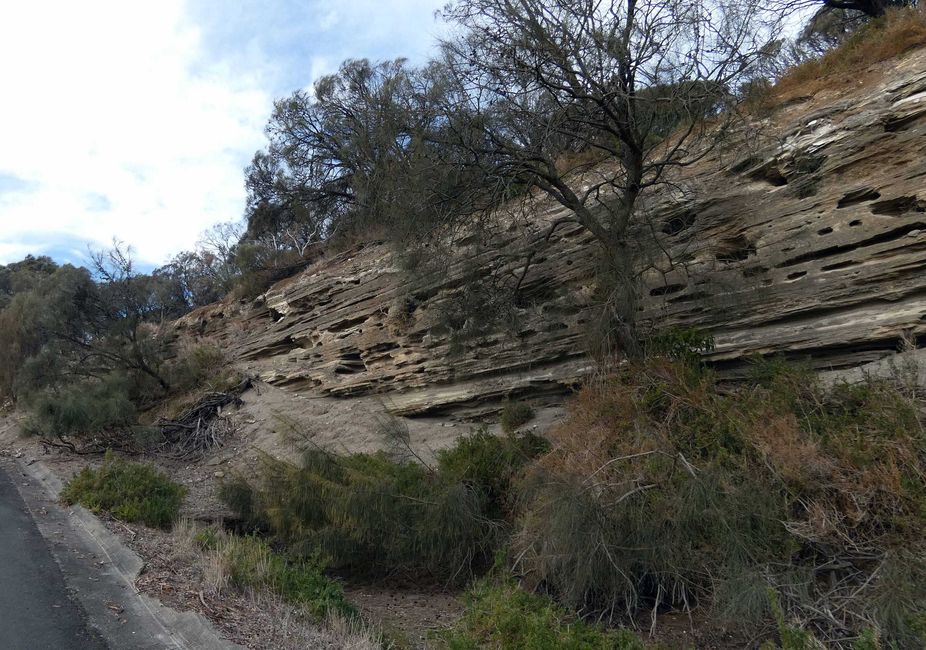 Tower Hill Wildlife Reserve