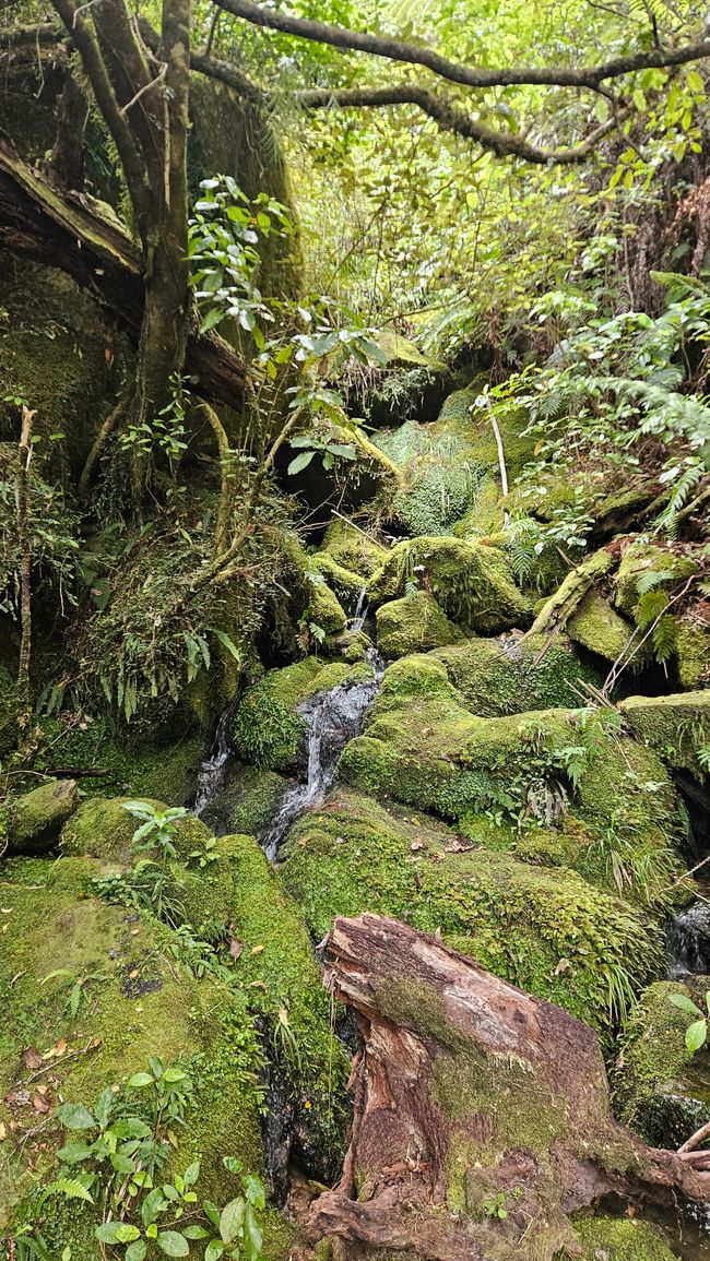 Abel Tasman Coastal Track