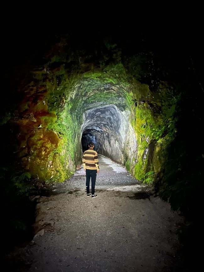 Tunnel auf verlassener Bahnstrecke mit Glühwürmchen