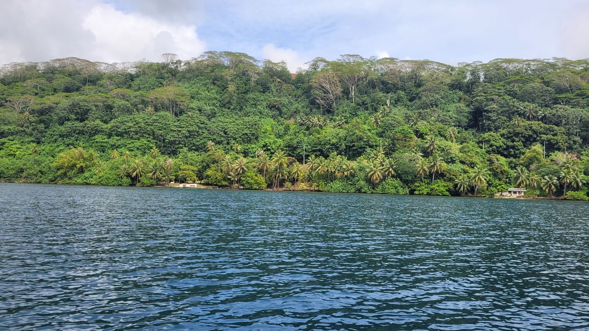 Raiatea – Along the Fa’aroa River