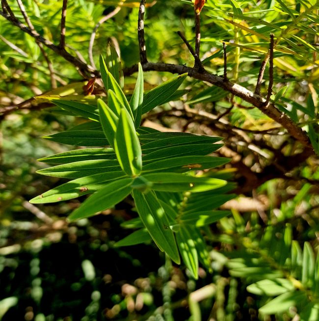 Horton Eco Park - World's End