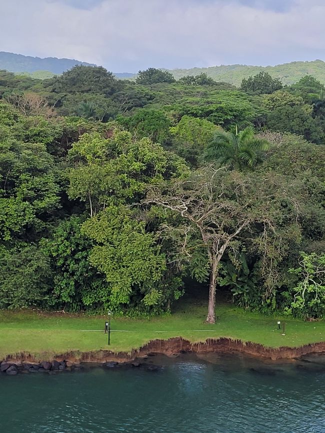 Day 41 of 175: Around the world cruise - Day passage through the Panama Canal