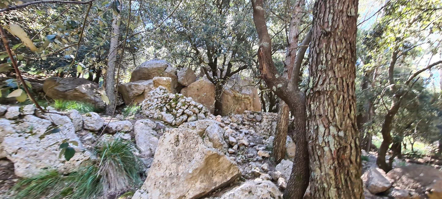 Die Königsetappe von Soller nach Refugi Tossals Verds