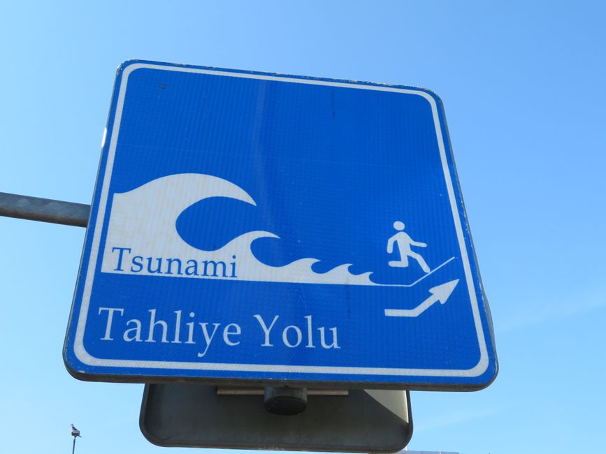 Tsunami