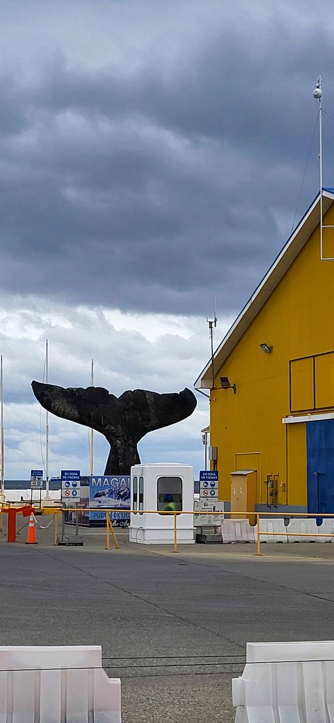 Visite de Punta Arenas