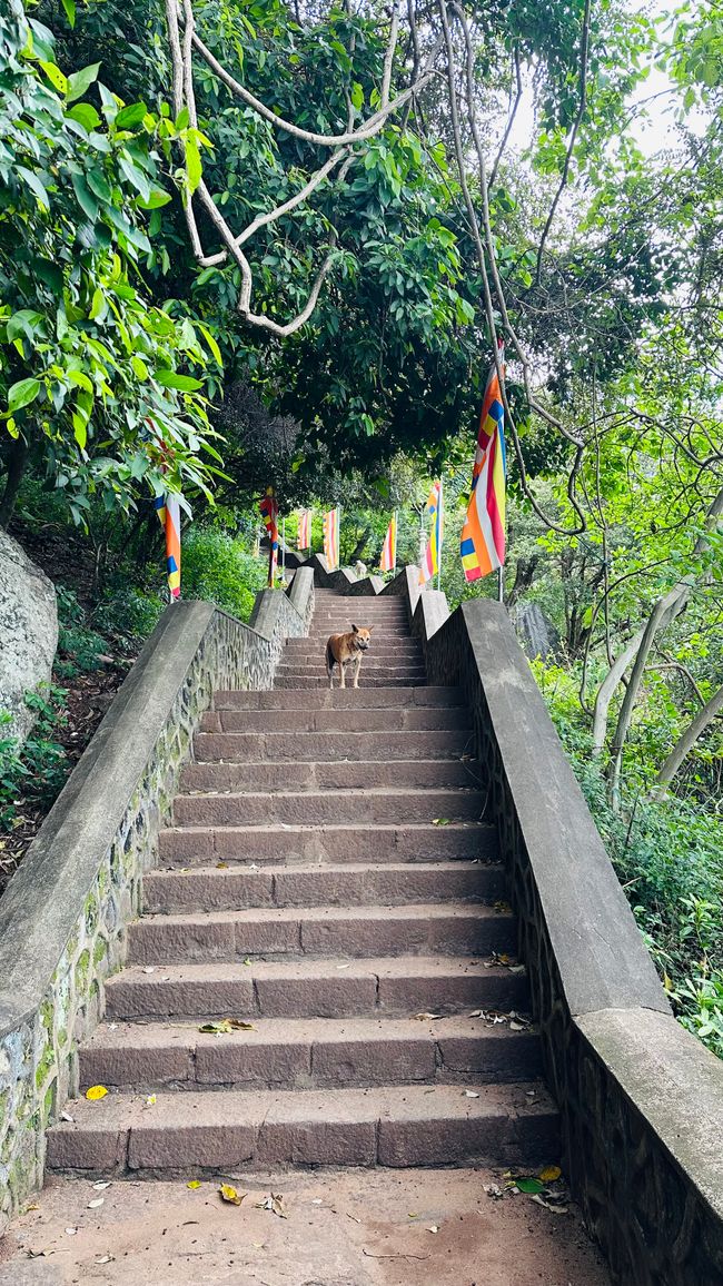 Dambulla Cave Temple