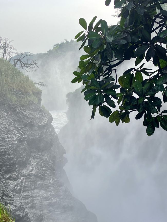 Nationalpark Murchison Falls