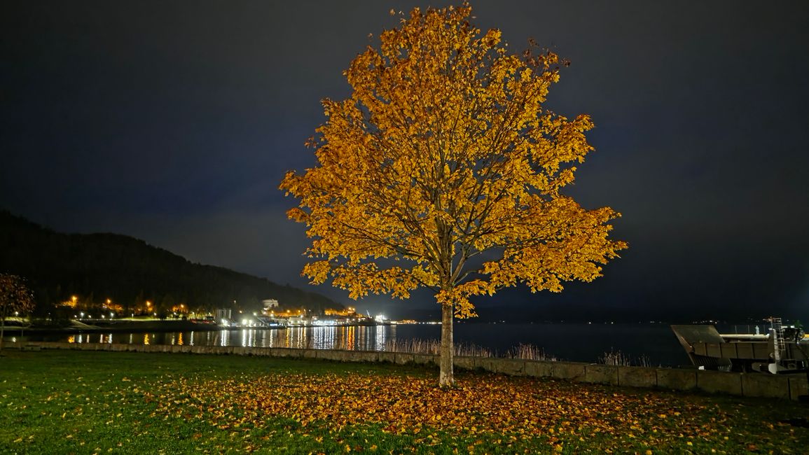 Trondheim 23-30 Octobre 2025/26 Octobre