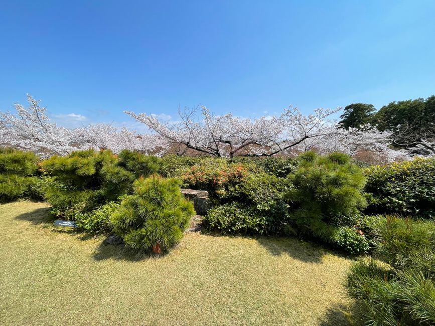 Parque en Arashiyama