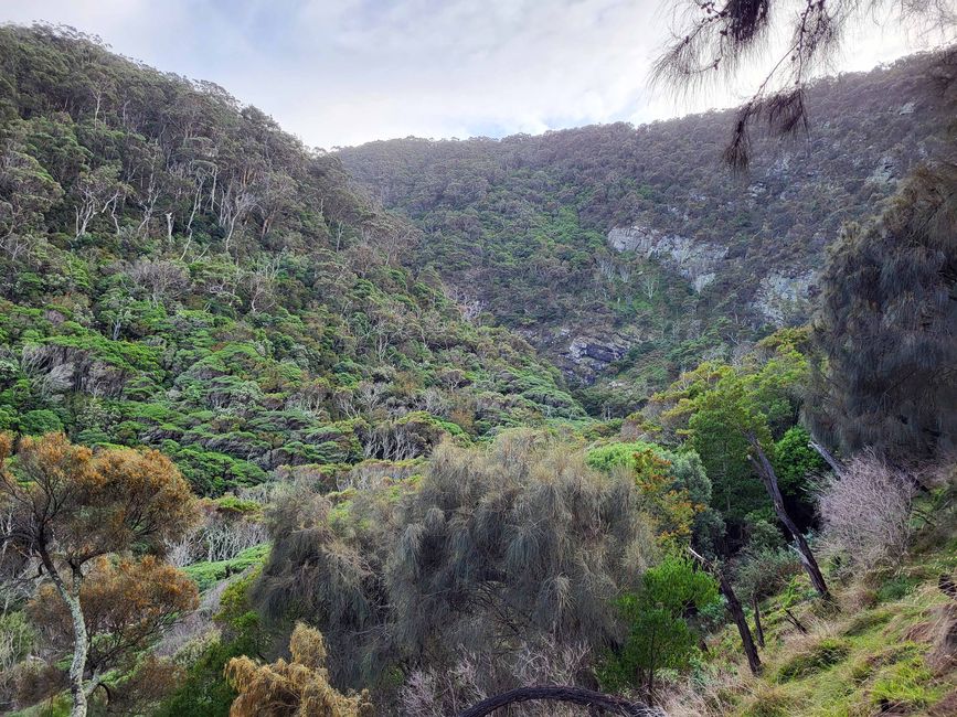 Cascate di Carisbrook