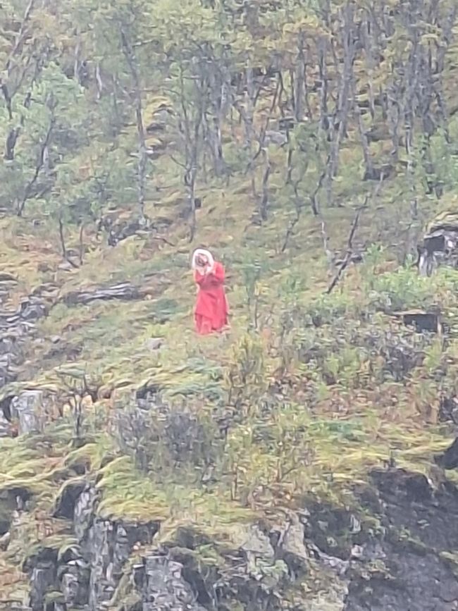 Etiqueta 7 Vossevangen - Flam