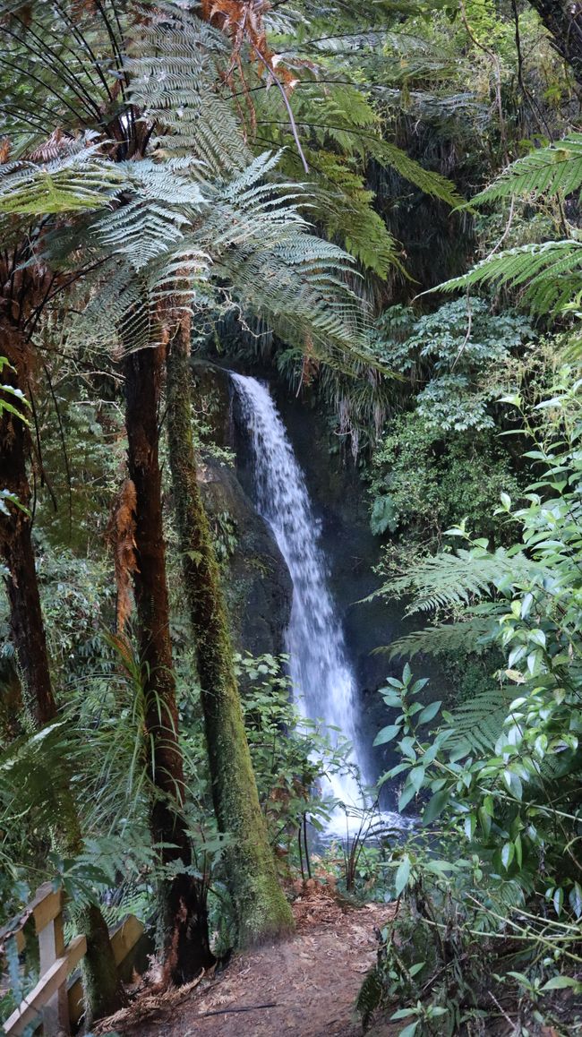 Wasserfall McLaren Falls Park