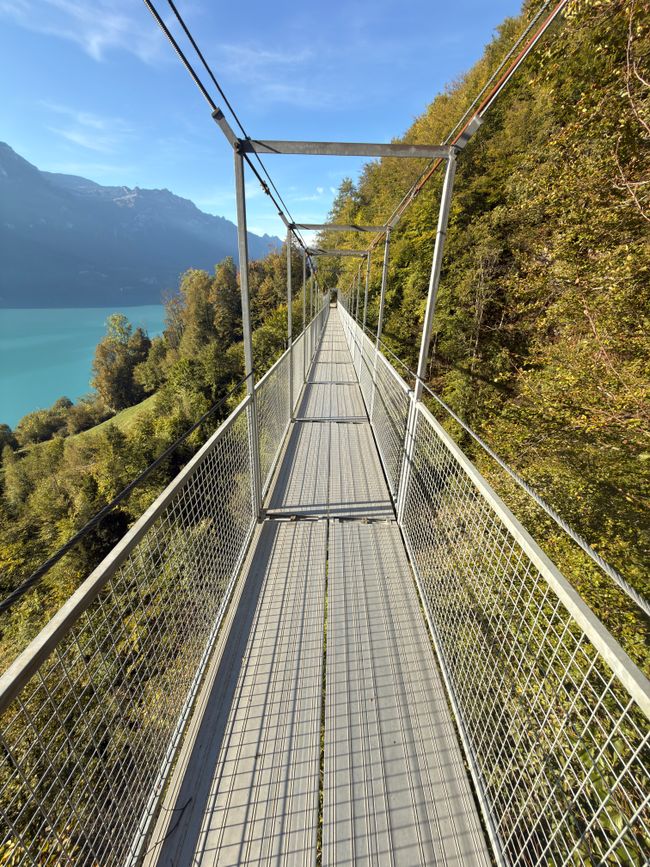 Le chemin est un rêve!