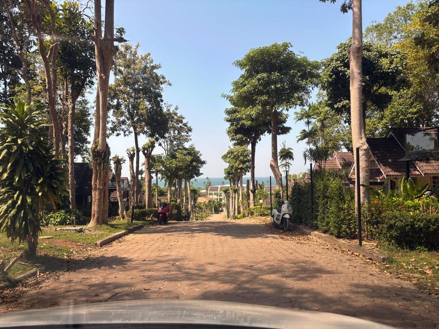 Pools und Strandliegen