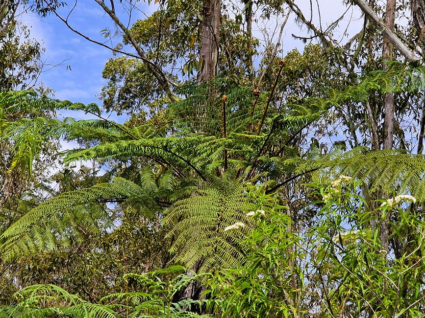 Horas, Danau Toba und ein Wiedersehen nach 34 Jahren