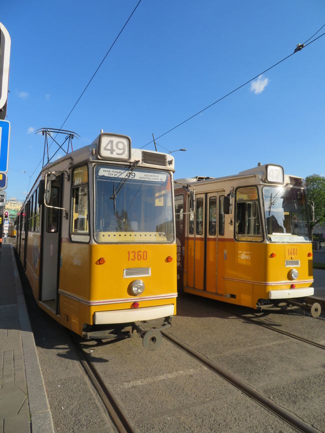 In Wien wäre das die Bim