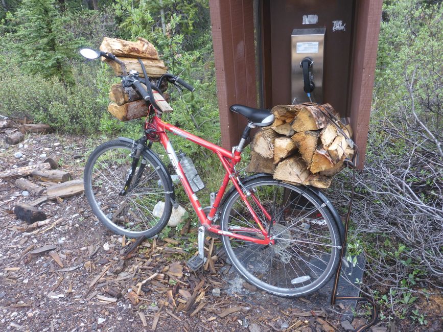 Je vais chercher du bois de chauffage au camping de Wilcox Pass