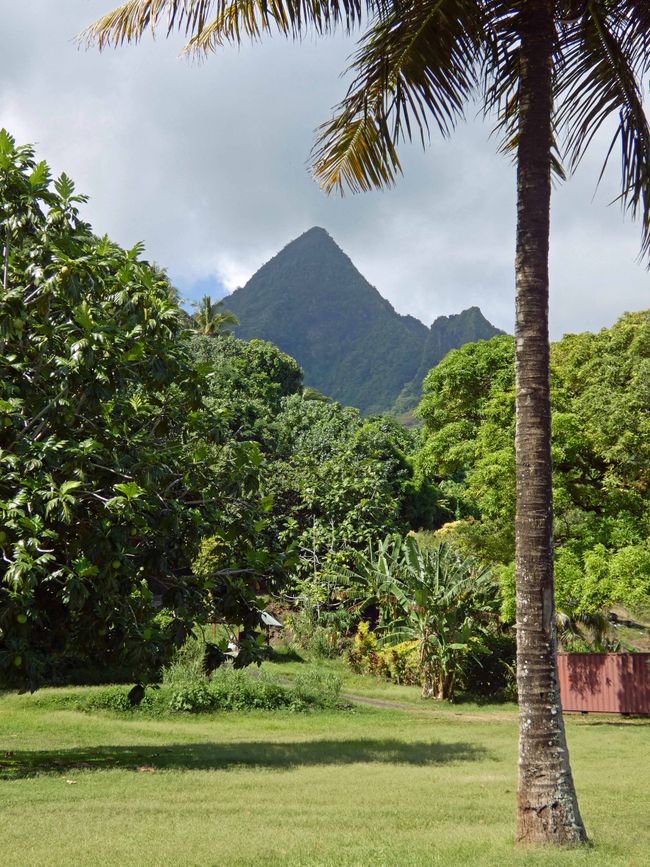 Mo orea