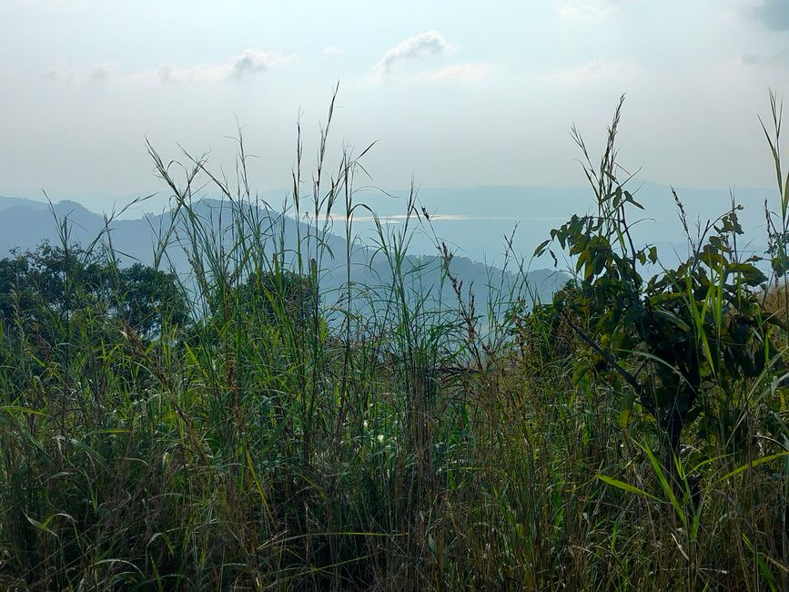 Chutes d'eau de Wli, Sanctuaire des Singes de Tafi, Mont Gemi