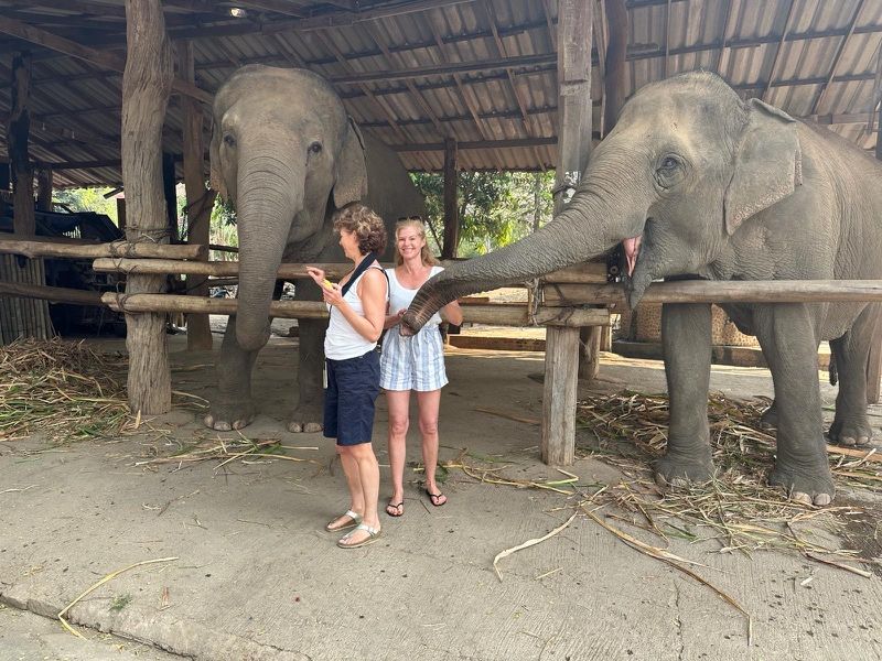 Elefanten und „Ricola“… das  gibt es nur in Thailand
