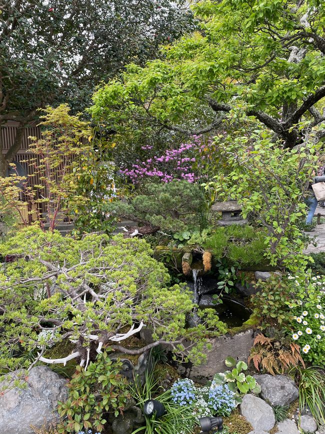 Kamakura-Freitag-11.04.25