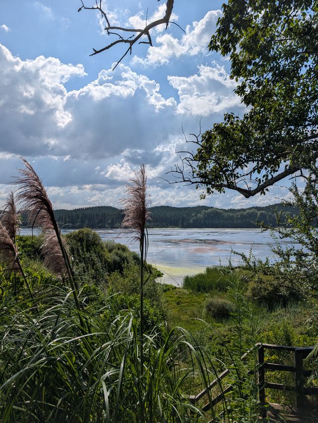Wai-o-Tapo & Lake Aniwhenura: Ein Tag voller E