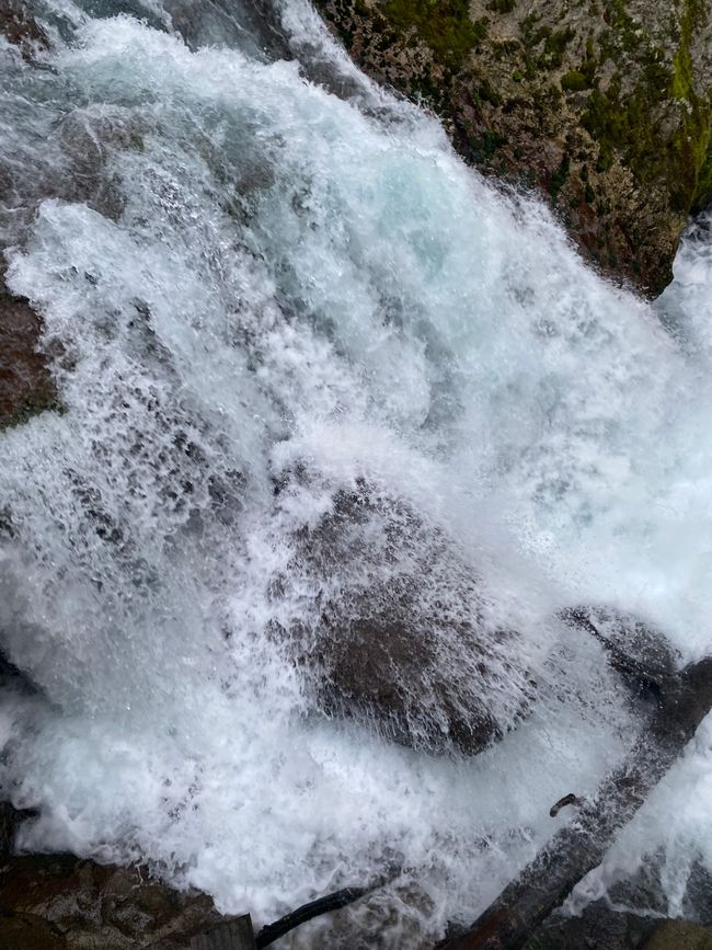 Road trip to Milford Sound