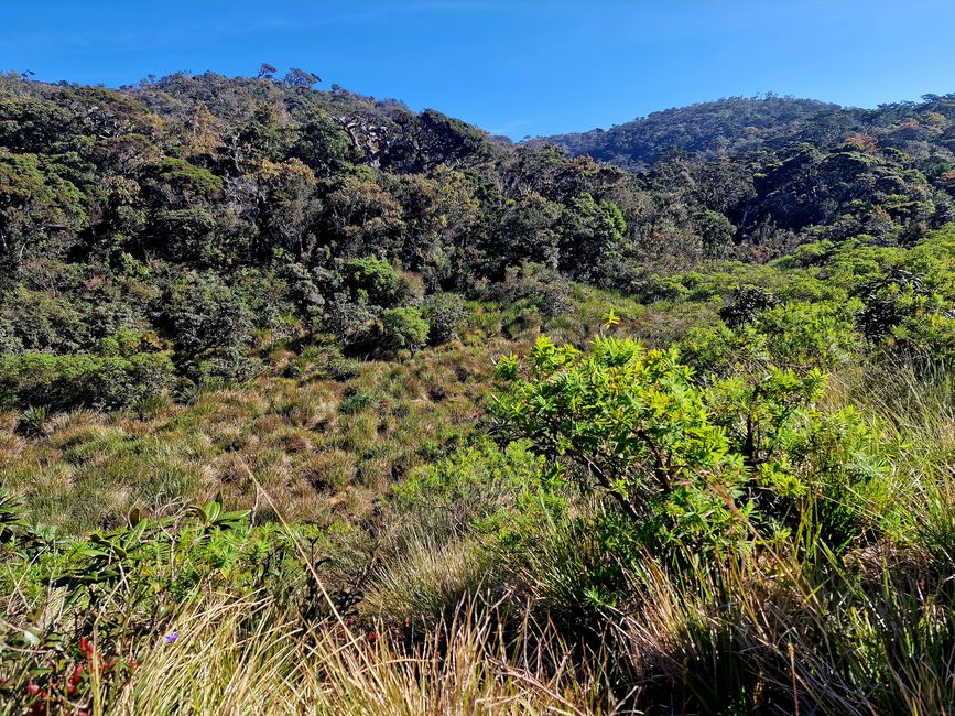 Horton Eco Park - World's End
