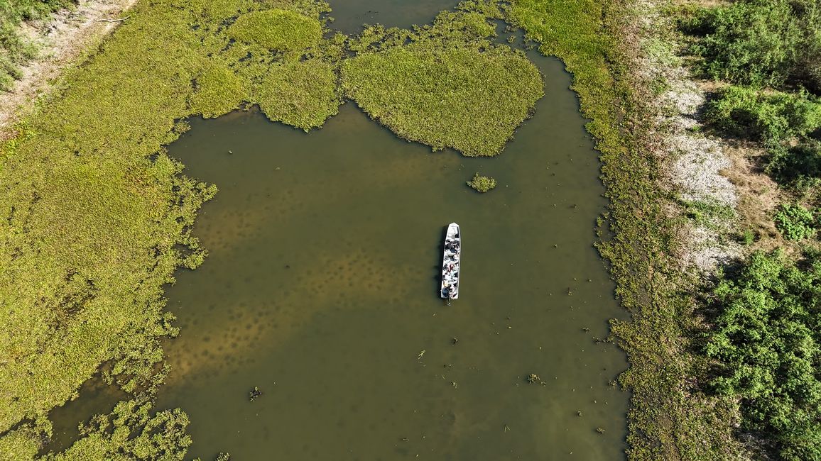 Excursión en barco en el Pantanal
