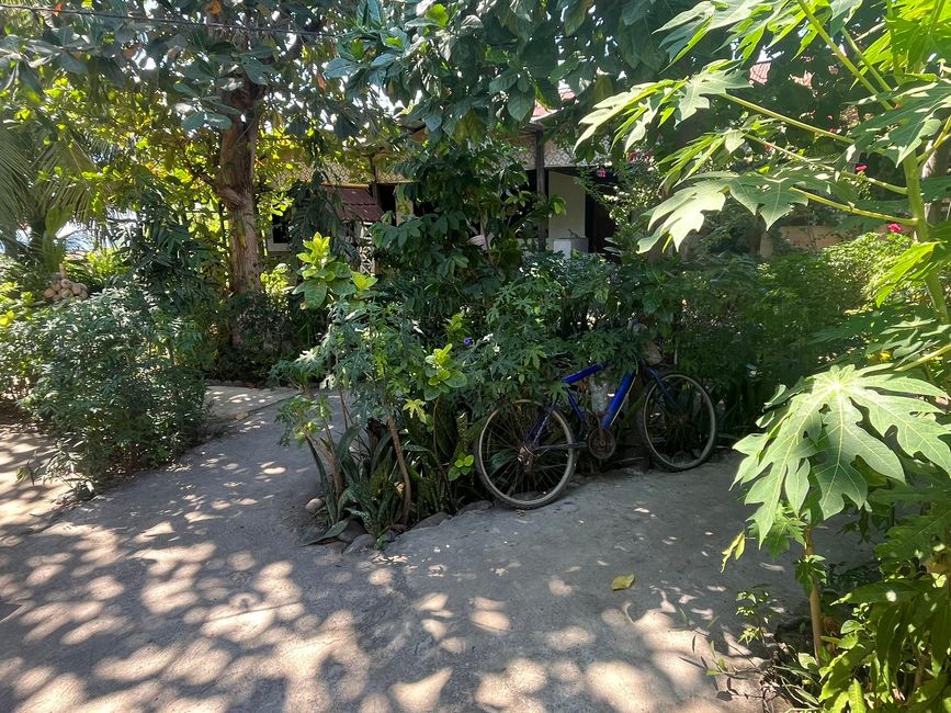 Maumere, guesthouse Pantai Paris