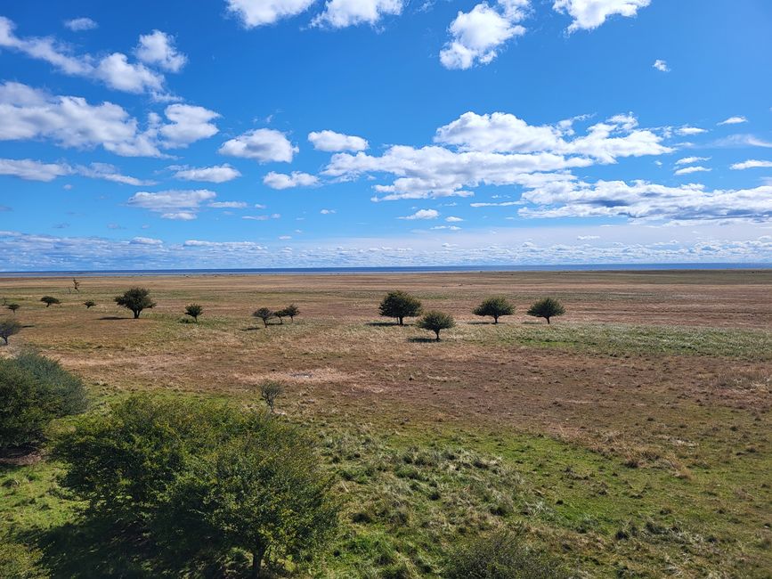 Vogelschutzgebiet Ottenby