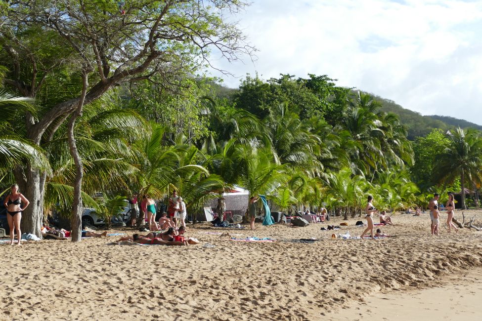 Erfrischung im Dschungel und an einem der schönsten Strände von Guadeloupe