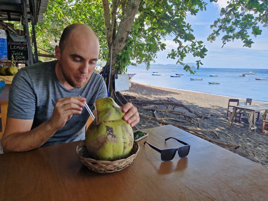 Tag 25/26 Tangkoko