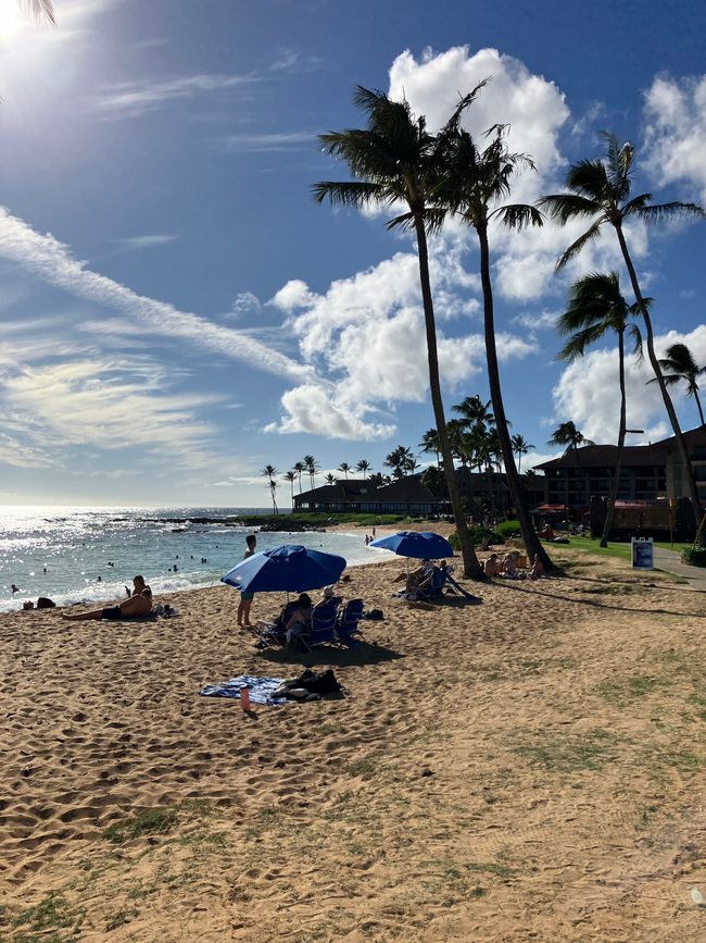 D18 - 7am Yoga with Norbi and Poipu beach with monk seals, sea turtles and Humuhumunukunukuapua‘a